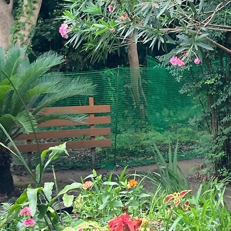 Ｏｋｕｎｏ Ｉｅ Apartment Oshima Екстериор снимка